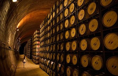 Cata de dos vinos Viña Real fermentado en Barrica Bakeder+ degust