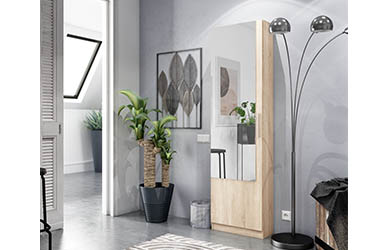 Zapatero de 1 puerta con espejo