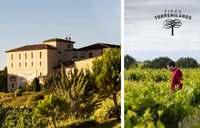 Visita guiada a bodega + cata de 4 vinos