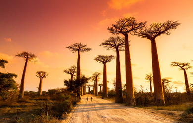 Estancias de 1, 2, 3 noches…