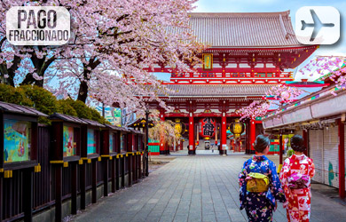 Viaje de 9 días con vuelos desde Madrid, hotel 4/5* con desayuno,