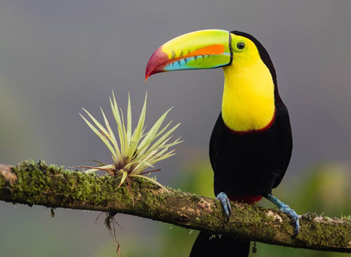 Circuito de 13 días, en hoteles  3*/4*con desayuno y régimen de t