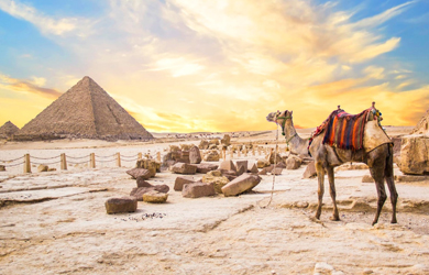 Viaje a Egipto durante 8 días