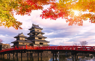 Viaje a Japón en categoría estándar