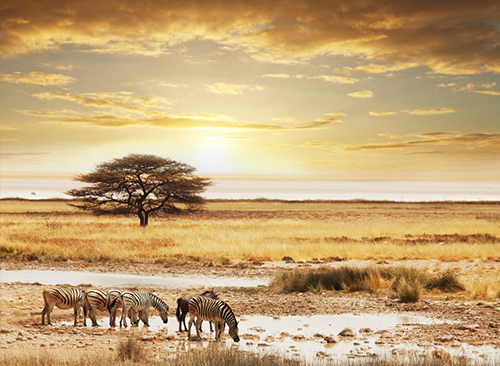 Viaje de 8 días a Kenya