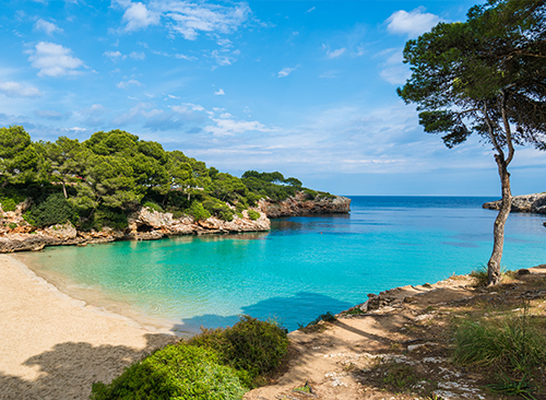 Viaje de 6 u 8 días a Mallorca con vuelos desde Bilbao, hotel en 