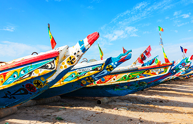 Viaje de 15 días, Gorilas en el Bosque de Bwindi, Cascadas Murchi
