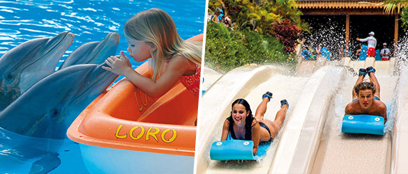 Entrada de 1 día a Siam Park + Loro parque