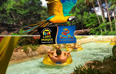 Entrada de 1 día a Siam Park + Loro parque