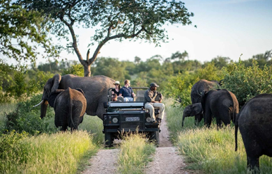 Viaje de 9 días a Sudáfrica con Safari