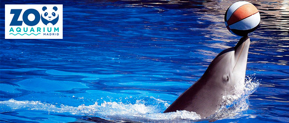 Entrada de adulto o niño de 1 día al Zoo Aquarium de Madrid