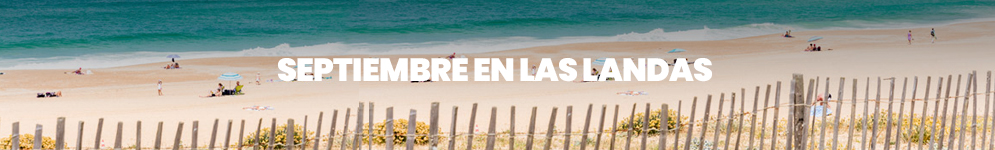Viajes
